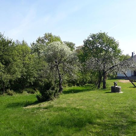 Вілла Happiness Country Retreat Bubel Екстер'єр фото